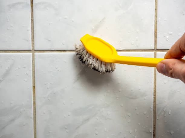 Best Mold Remediation Experts  in Shadybrook, TX