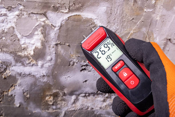 Best Attic Mold Removal  in Shadybrook, TX